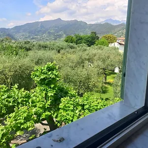 Couette-café La Madonnina, Querceta