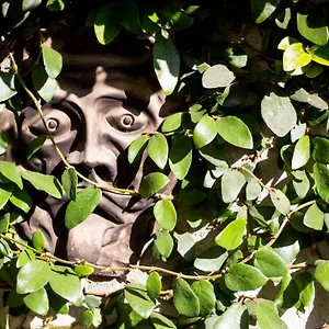  Bed & Breakfast Sopra Al